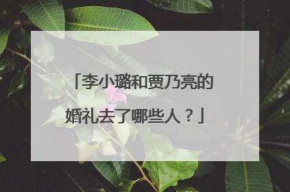 李小璐和贾乃亮的婚礼去了哪些人？