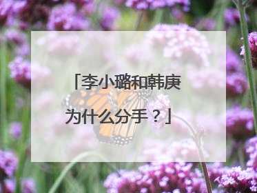 李小璐和韩庚为什么分手?