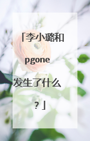 李小璐和pgone发生了什么？