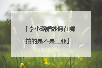 李小璐婚纱照在哪拍的是不是三亚