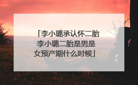李小璐承认怀二胎 李小璐二胎是男是女预产期什么时候