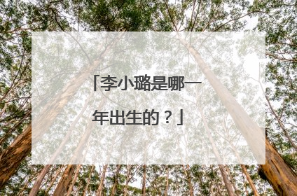 李小璐是哪一年出生的？