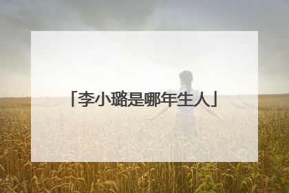 李小璐是哪年生人