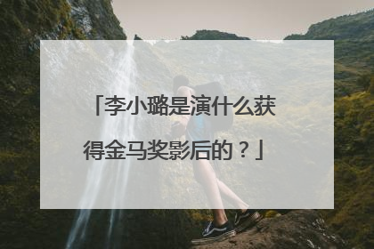 李小璐是演什么获得金马奖影后的？
