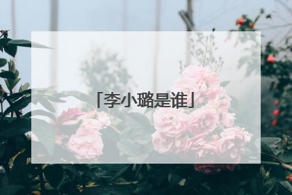 李小璐是谁