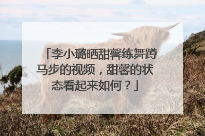 李小璐晒甜馨练舞蹲马步的视频，甜馨的状态看起来如何？