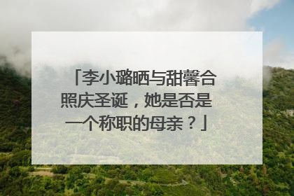 李小璐晒与甜馨合照庆圣诞,她是否是一个称职的母亲?