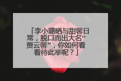 李小璐晒与甜馨日常，脱口而出大名“贾云馨”，你如何看看待此举呢？