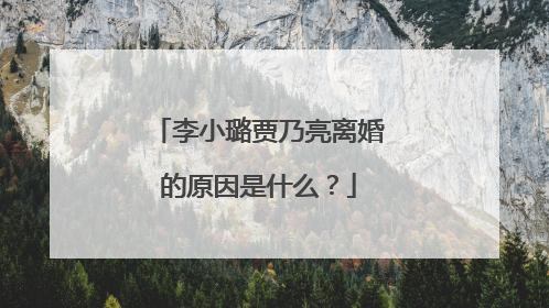 李小璐贾乃亮离婚的原因是什么？