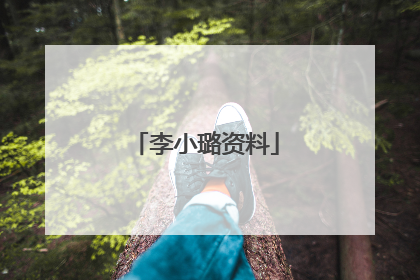李小璐资料