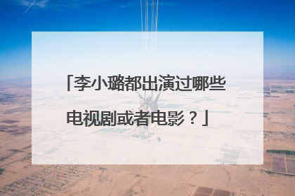 李小璐都出演过哪些电视剧或者电影？