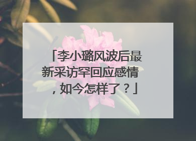 李小璐风波后最新采访罕回应感情，如今怎样了？