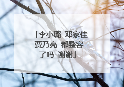 李小璐 邓家佳 贾乃亮 都整容了吗 谢谢