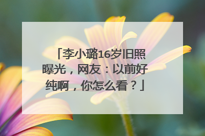 李小璐16岁旧照曝光,网友:以前好纯啊,你怎么看?