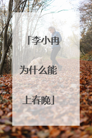 李小冉为什么能上春晚