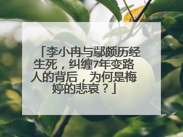 李小冉与鄢颇历经生死,纠缠7年变路人的背后,为何是梅婷的悲哀?