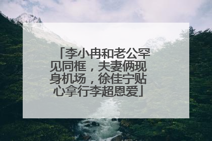 李小冉和老公罕见同框,夫妻俩现身机场,徐佳宁贴心拿行李超恩爱