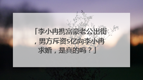 李小冉携富豪老公出街，男方斥资5亿向李小冉求婚，是真的吗？