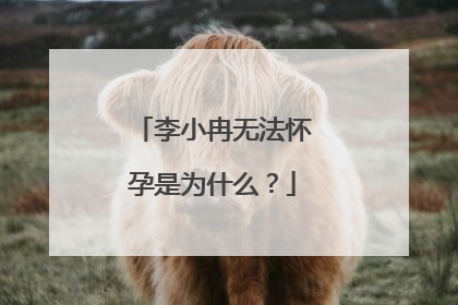 李小冉无法怀孕是为什么?