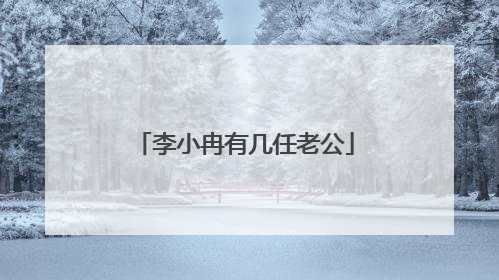 李小冉有几任老公