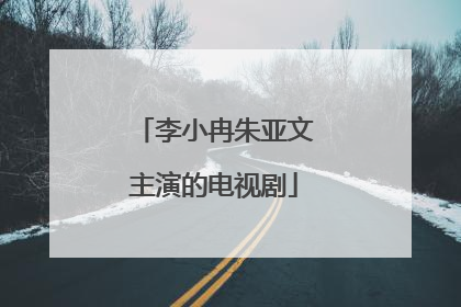 李小冉朱亚文主演的电视剧