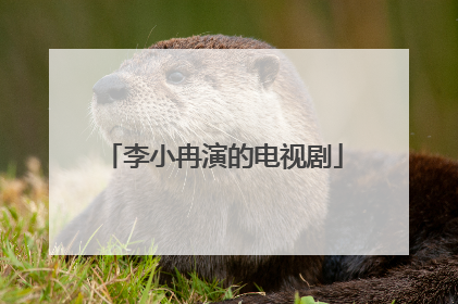 李小冉演的电视剧