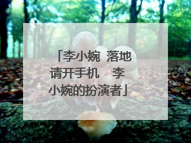 李小婉 落地请开手机  李小婉的扮演者