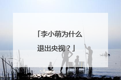 李小萌为什么退出央视？