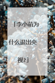 李小萌为什么退出央视?