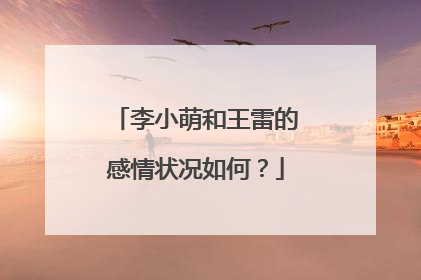 李小萌和王雷的感情状况如何？