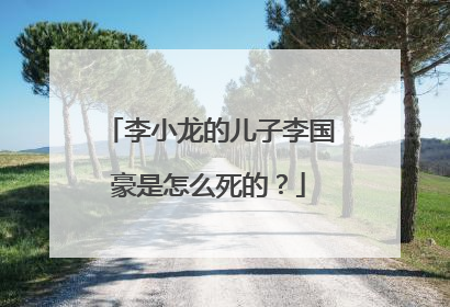 李小龙的儿子李国豪是怎么死的？