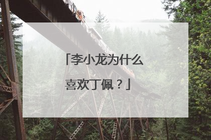 李小龙为什么喜欢丁佩?