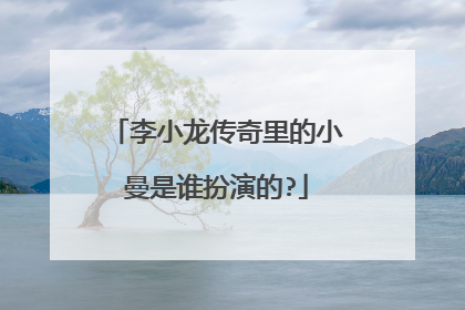 李小龙传奇里的小曼是谁扮演的?
