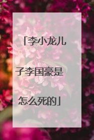 李小龙儿子李国豪是怎么死的