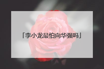李小龙最怕向华强吗
