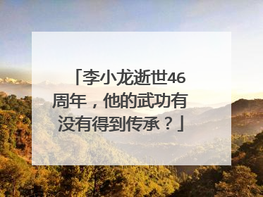 李小龙逝世46周年，他的武功有没有得到传承？