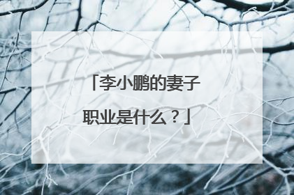 李小鹏的妻子职业是什么？