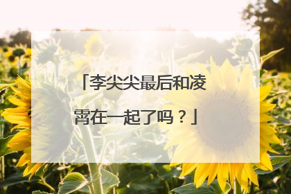 李尖尖最后和凌霄在一起了吗?