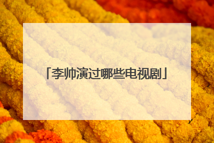 李帅演过哪些电视剧