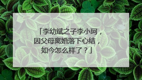 李幼斌之子李小珂,因父母离婚落下心结,如今怎么样了?
