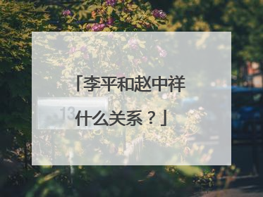 李平和赵中祥什么关系？