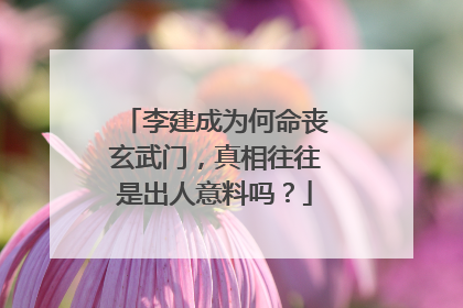 李建成为何命丧玄武门,真相往往是出人意料吗?