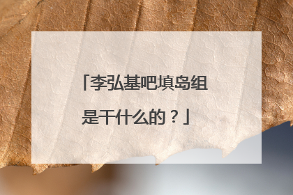 李弘基吧填岛组是干什么的？