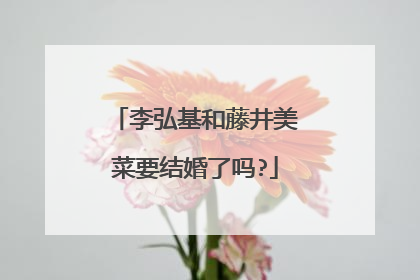 李弘基和藤井美菜要结婚了吗?