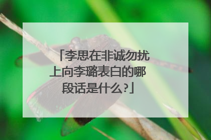 李思在非诚勿扰上向李璐表白的哪段话是什么?