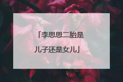 李思思二胎是儿子还是女儿