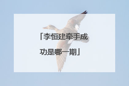 李恒建牵手成功是哪一期