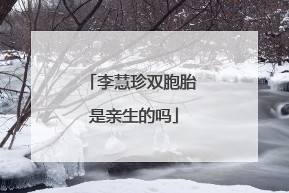 李慧珍双胞胎是亲生的吗