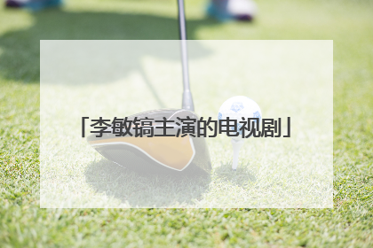 李敏镐主演的电视剧