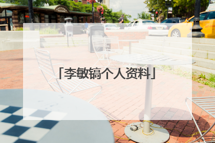 李敏镐个人资料